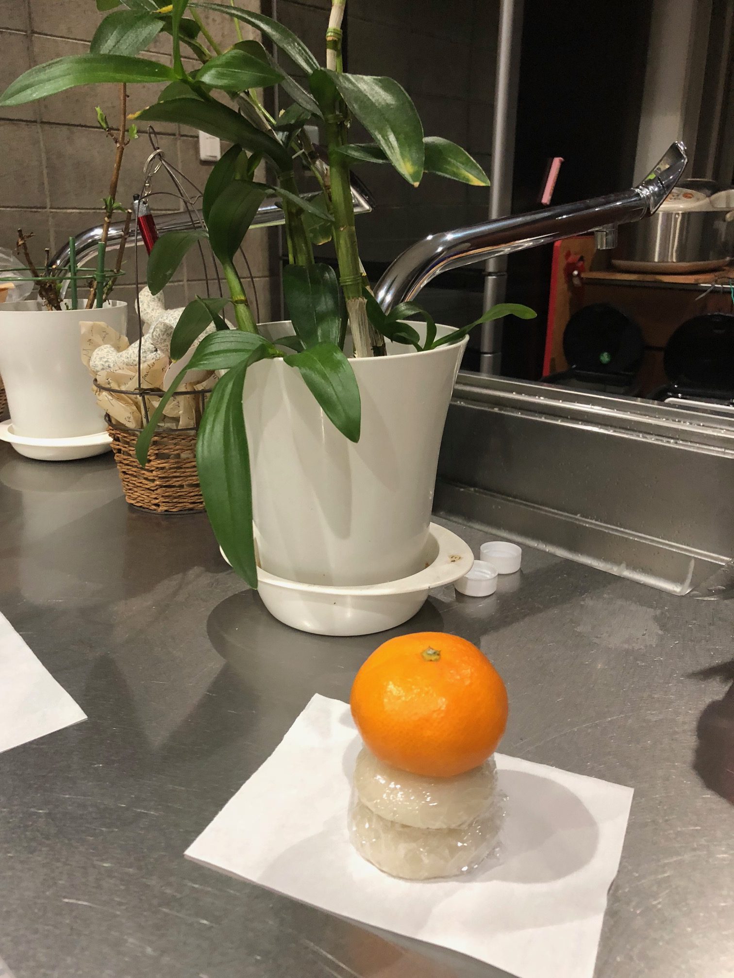 新年明けましておめでとうございますm(__)m