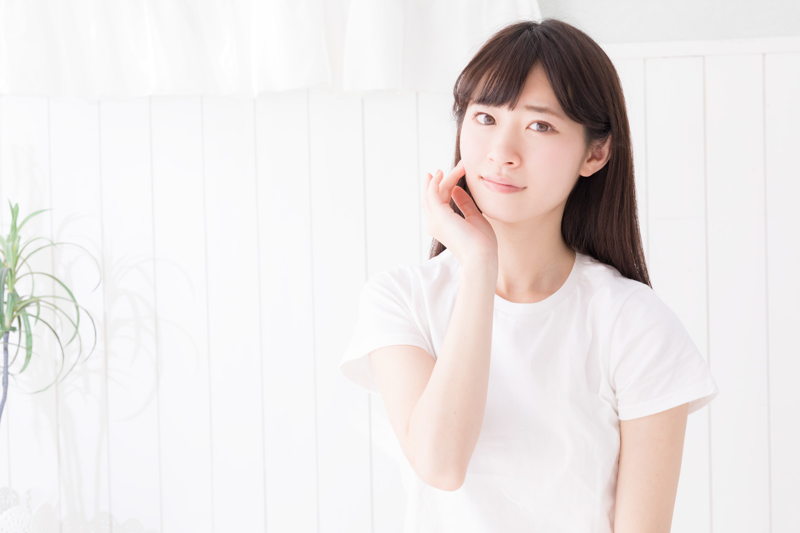 福井で住宅・家の事でお困りでしたらご相談ください。
